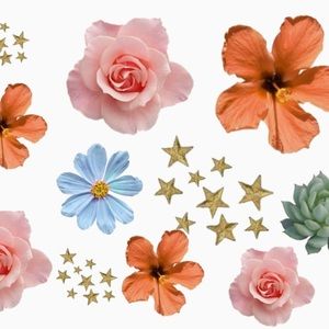 Meet your Posher, Rylee